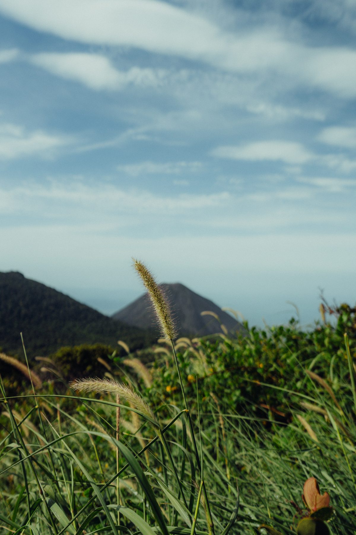 Volcán Izalco — cima