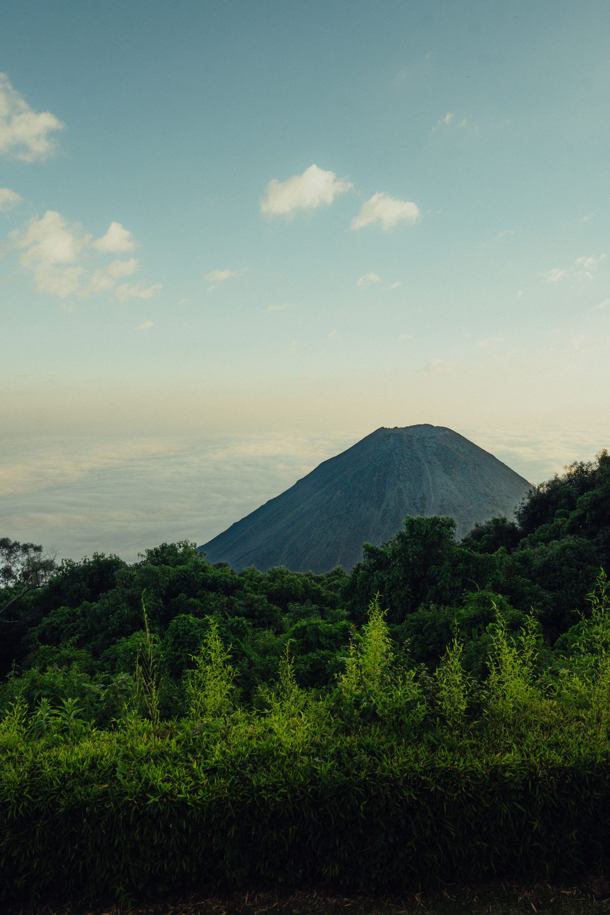 Volcán Izalco — vista